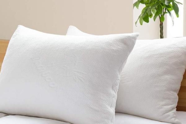  Invest in Your Sleep with ECOVISCO Visco Pillows 